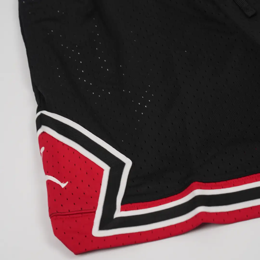 Air Jordan shorts 6 3/3